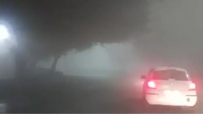 Delhi Shrouded in Dense Fog, IMD Issues Yellow Alert for Cold Wave