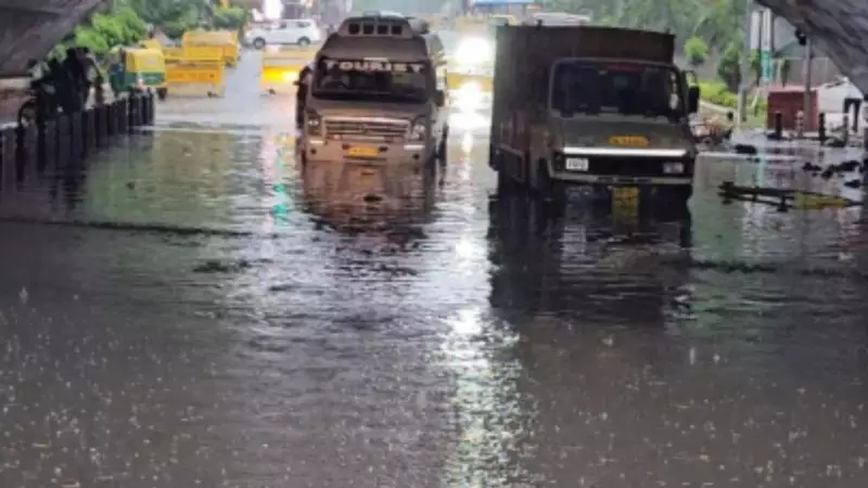 Delhi Waterlogging Study Recommends Rainwater Harvesting, Tube Well Revival