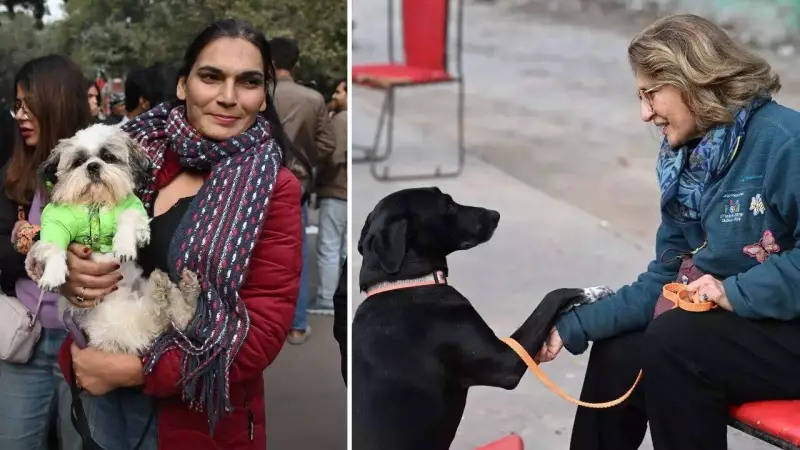 Delhiites Rally at Jantar Mantar, Say 'Awara Nahi, Humara Hai' to Protest Dog Removal Order