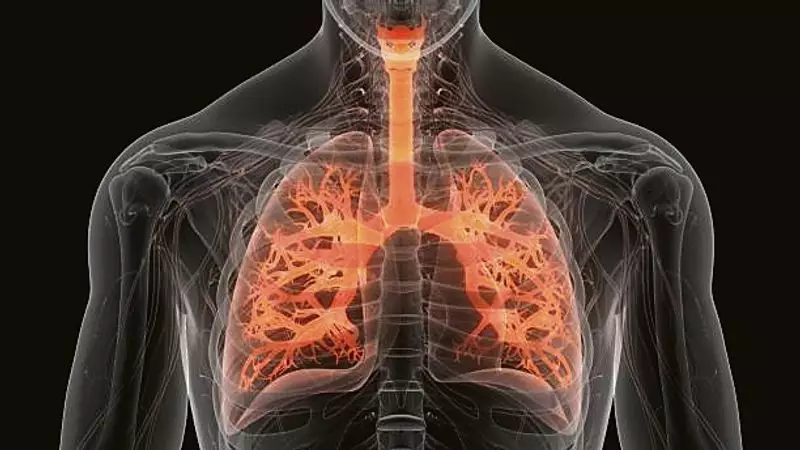 Delhi's Air Crisis: Respiratory Illnesses Claimed 25 Lives Daily in 2024