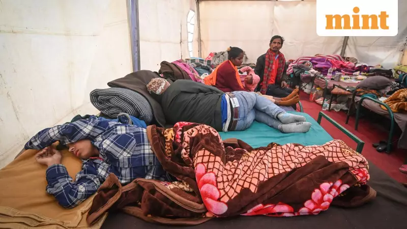 Delhi's Coldest January Morning in 2 Years at 4.6°C; IMD Issues Fog Alert