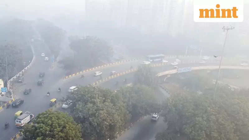 Delhi's Morning of Flash Fog and Freezing Temperatures Creates Hazardous Conditions