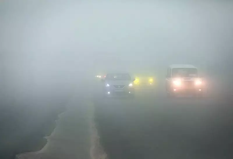 Dense Fog Alert in 11 Jharkhand Districts, IMD Warns of Travel Disruption