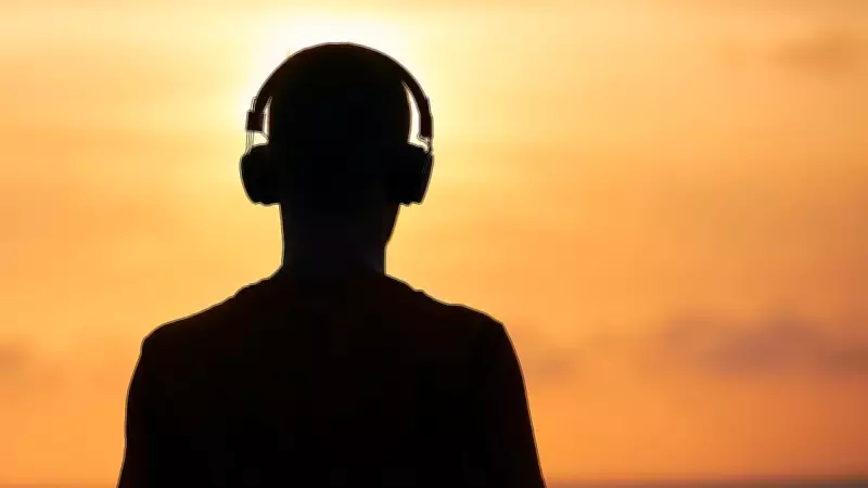 Digital Audio Players Make a Comeback in 2026: A Niche Market Revival