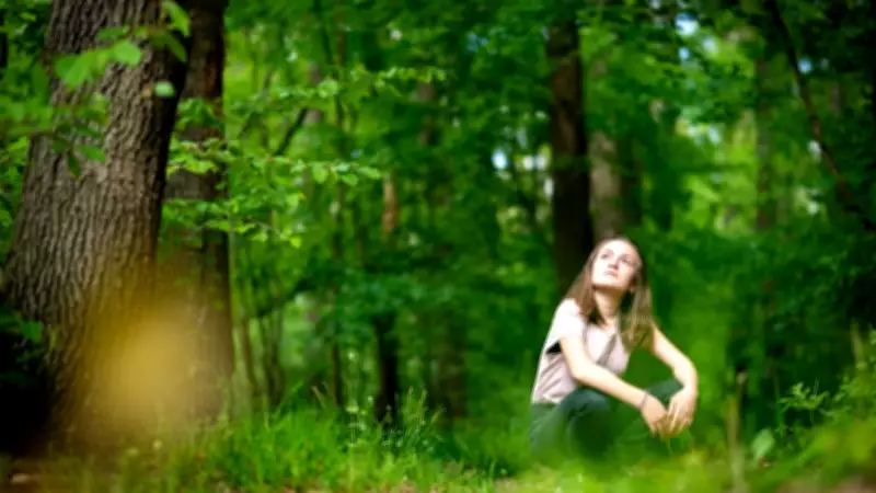 Discover Forest Bathing: The Japanese Art of Nature Immersion for Wellness