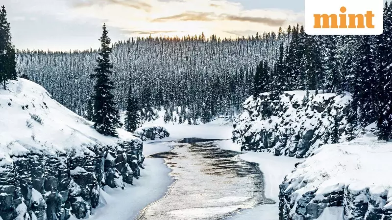 Discovering Yukon's Winter Magic: From Whitehorse Warmth to Northern Lights