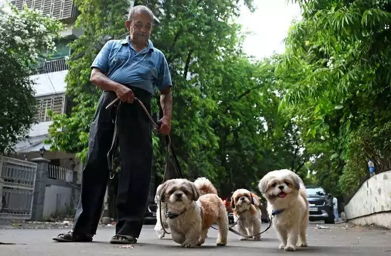 Dog Walking Dispute Escalates into Physical Clash in Bhopal's Amrit Enclave