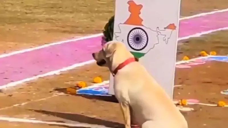 Dog's Republic Day Gesture: Chooses India on World Map, Internet Amazed