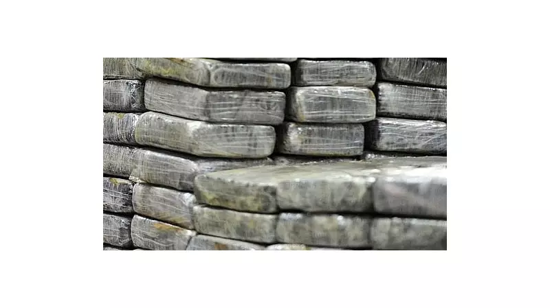 DRI Busts Major Drug Ring in Maharashtra, Seizes Rs 175.5 Crore Narcotics