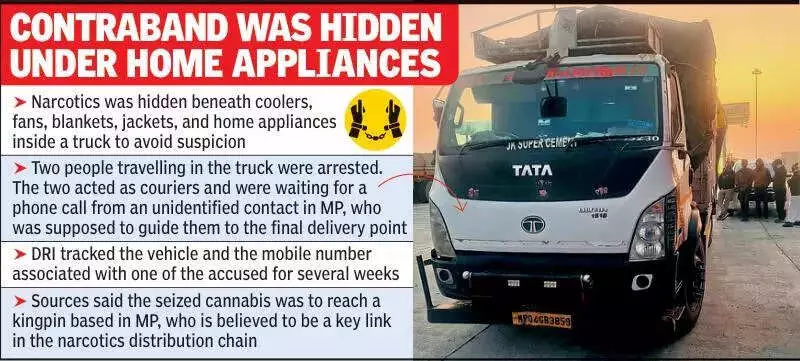 DRI Nagpur Seizes 522 Kg Ganja Worth ₹2.6 Cr, Busts Interstate Drug Racket