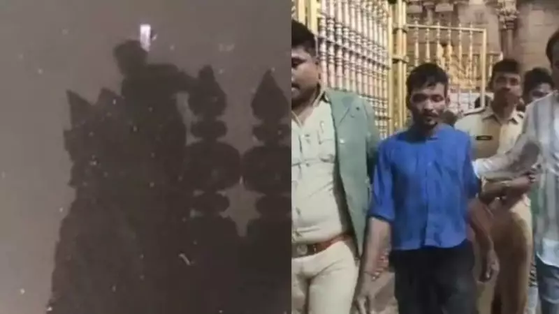 Drunk Man Climbs Tirupati Temple Gopuram, Tries to Break Kalasams