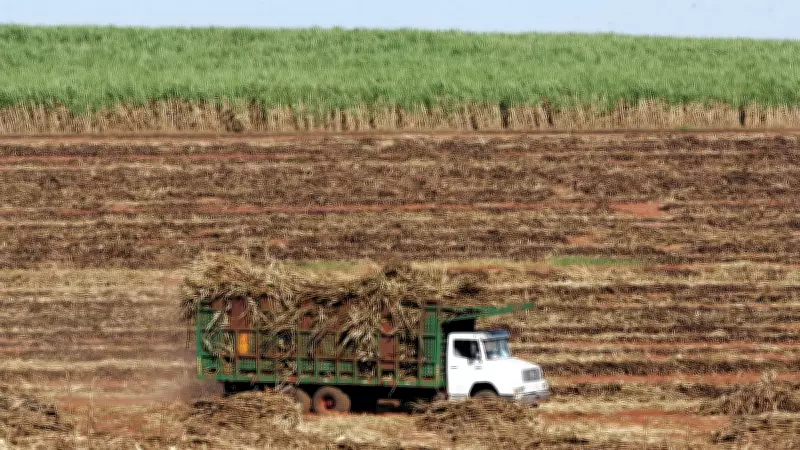 Economic Survey 2025-26 Warns: Ethanol Push May Threaten Food Security