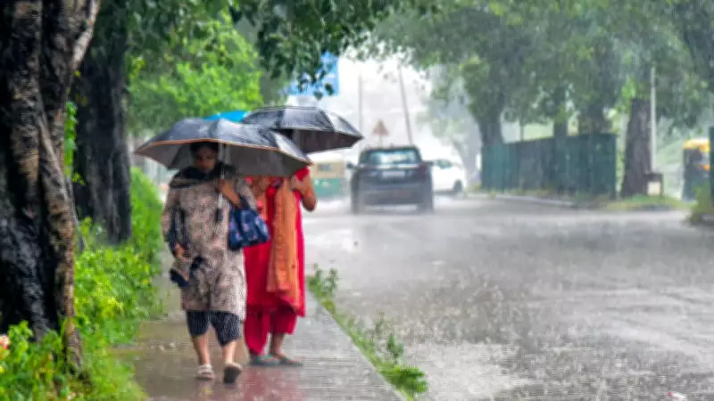 Economic Survey: Beyond Footpaths - Why Indian Cities Need Systemic Urban Design