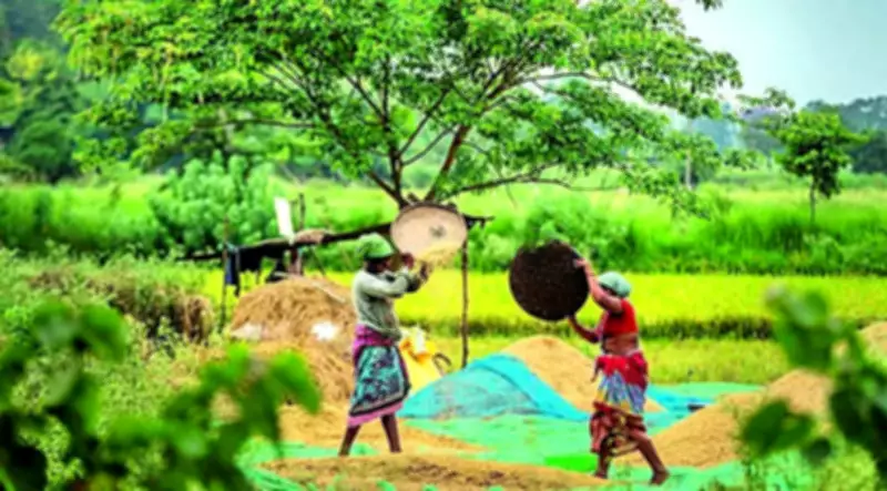 Economic Survey Flags Fiscal Risks as State Cash Transfers Hit 50% of Rural Consumption