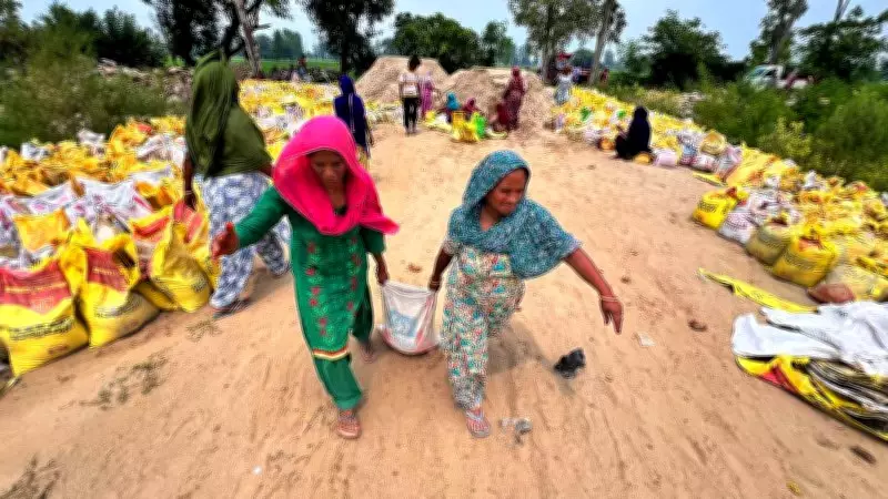 Economic Survey Highlights VB-G-RAM-G as Transformative Shift in Rural Employment Policy