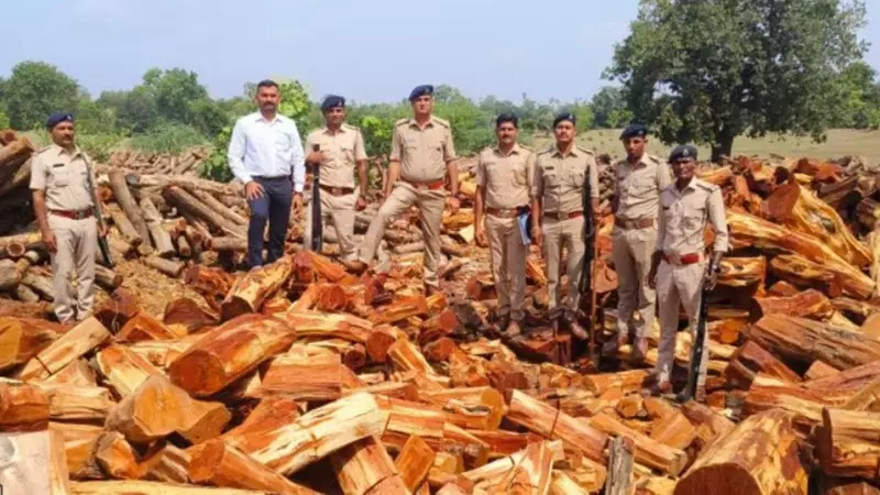 ED Attaches Rs 11.3 Cr Properties in Khair Wood Smuggling Racket, Surat Makes Arrest