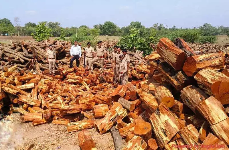 ED Attaches Rs 11.3 Crore Properties in Gujarat Khair Wood Smuggling Case