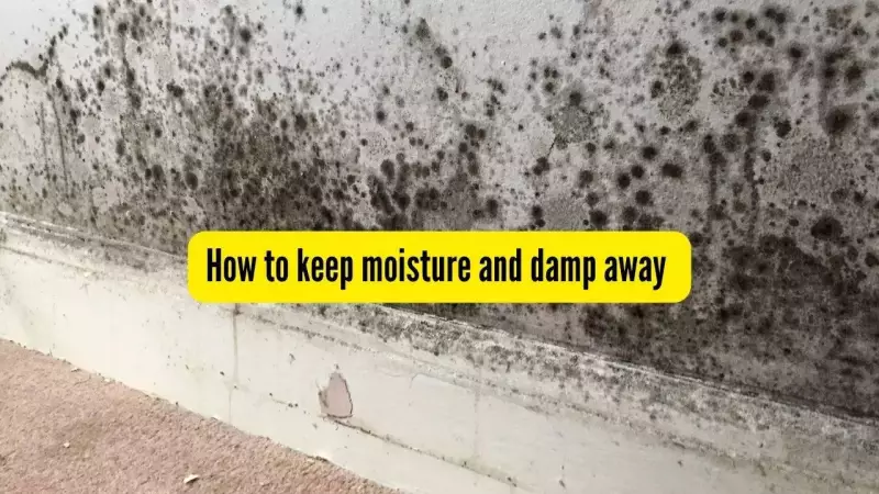 Effective Strategies to Prevent Moisture and Dampness on Walls and Almirahs