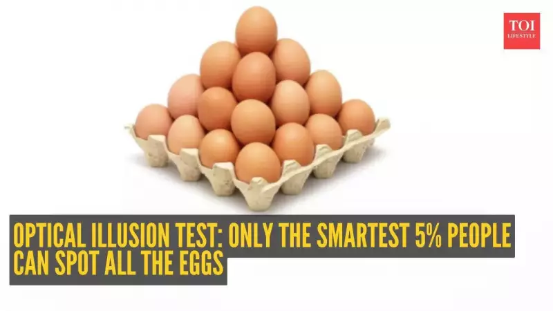 Egg Tray Optical Illusion: Only 5% Can Spot All 30 Eggs in 10 Seconds