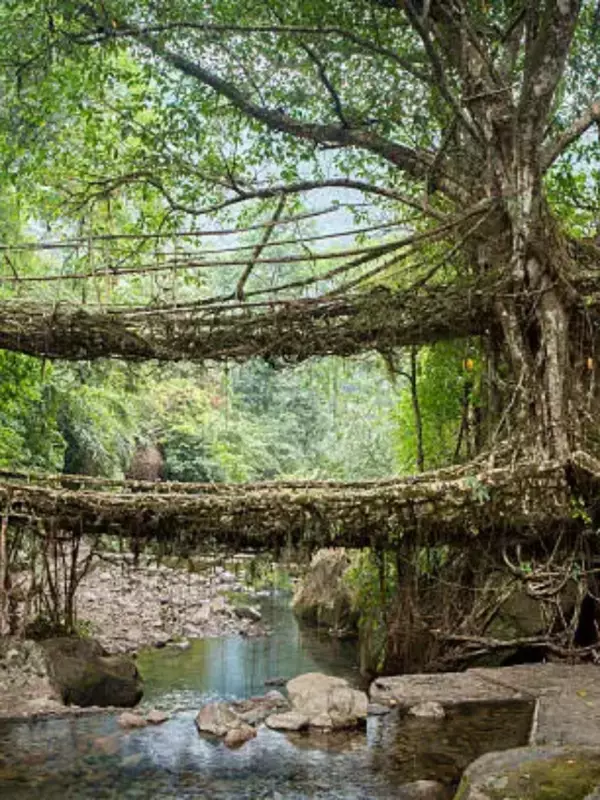 Eight Must-Visit Bridges in India for Travel Enthusiasts