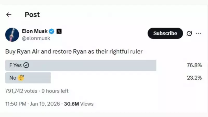 Elon Musk's Ryanair Poll Sparks Online Frenzy After Public Feud With CEO