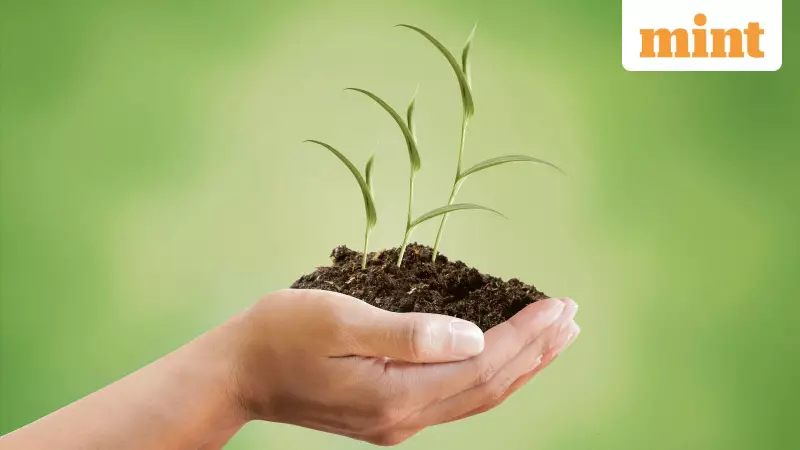 Emirates NBD Capital India Set to Name Alok Malpani as First India CEO