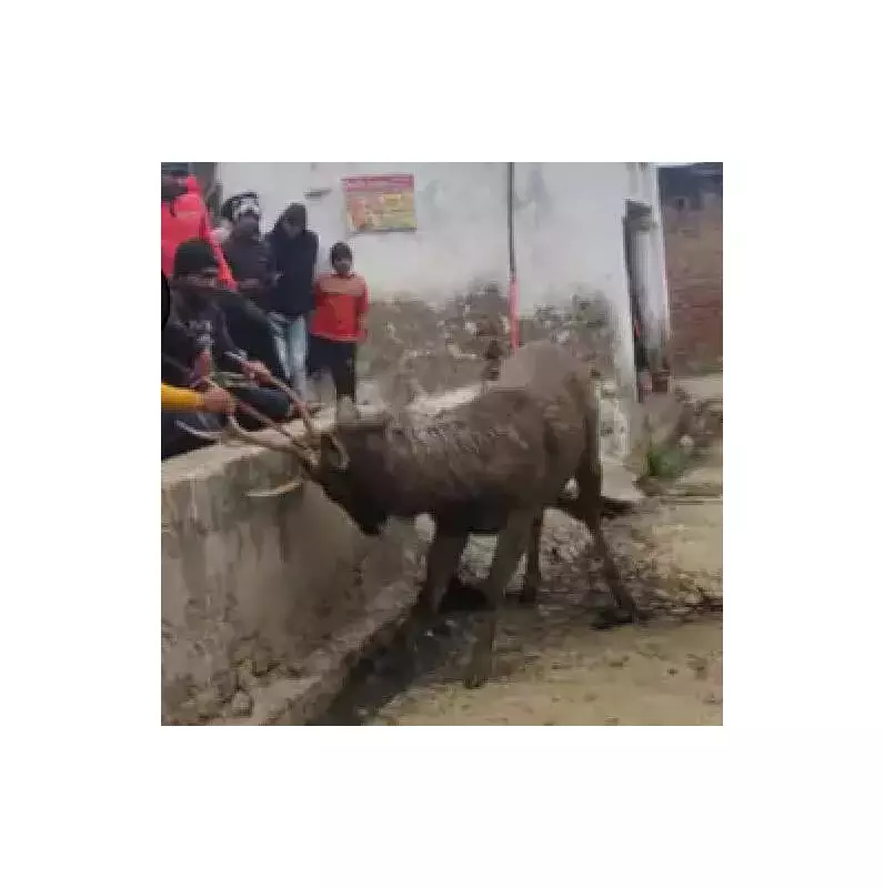 Etawah Villagers Rescue Sambar Deer After Forest Team Delay