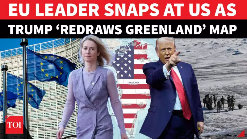 EU Alarmed by Trump's $100,000 Greenland 'Offer', Kallas Warns of Global Instability
