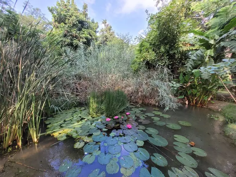 Faridabad Deploys Eco-Vans to Combat Air Pollution, Leads NCR Clean Air Drive