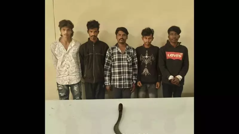 Five Arrested in Gujarat for Bhubaneswar Love Triangle Murder