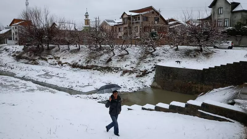 Flight Operations Resume at Srinagar Airport After Snow Clearance