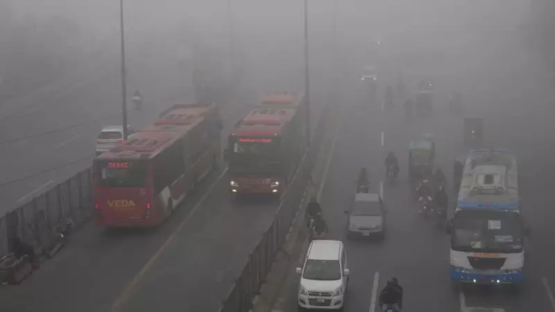 Fog and Speed Kill 23 in Pakistan Road Accidents, Including Six Children