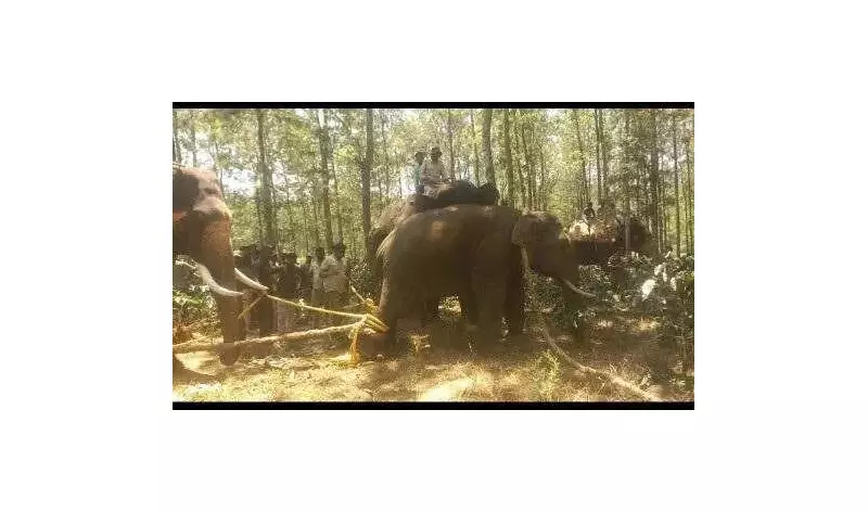 Former MLA Vishwanath Demands Rs 500 Crore to Tackle Human-Elephant Conflict in Western Ghats