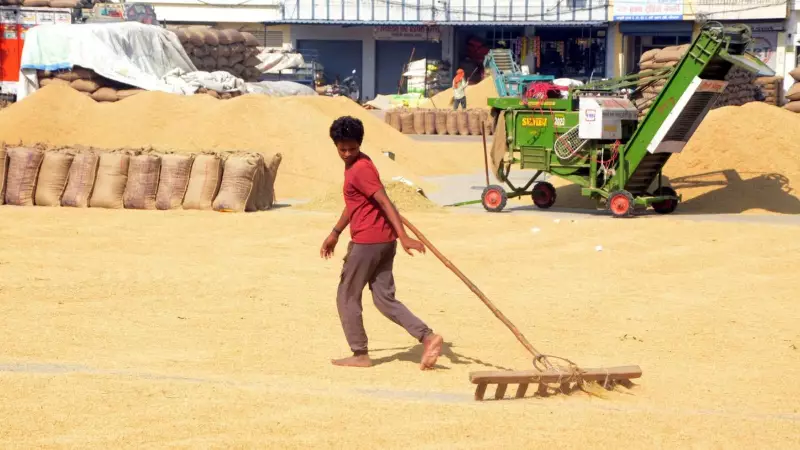 Fortified Rice Manufacturers Challenge Punjab's Policy Shift in High Court