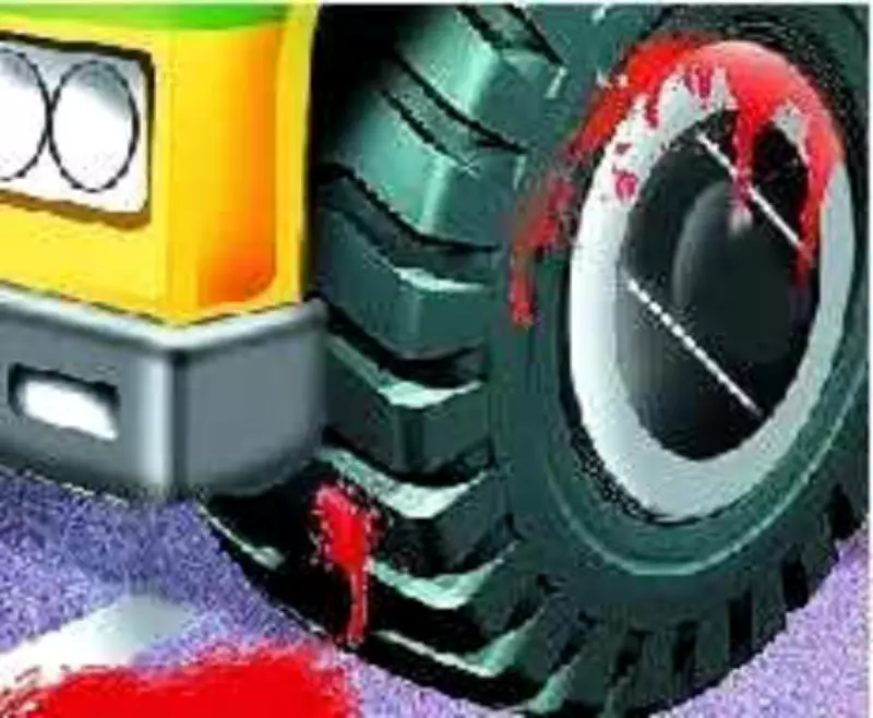Four Killed in Gwalior Road Accident as Speeding Truck Rams Car in Dense Fog