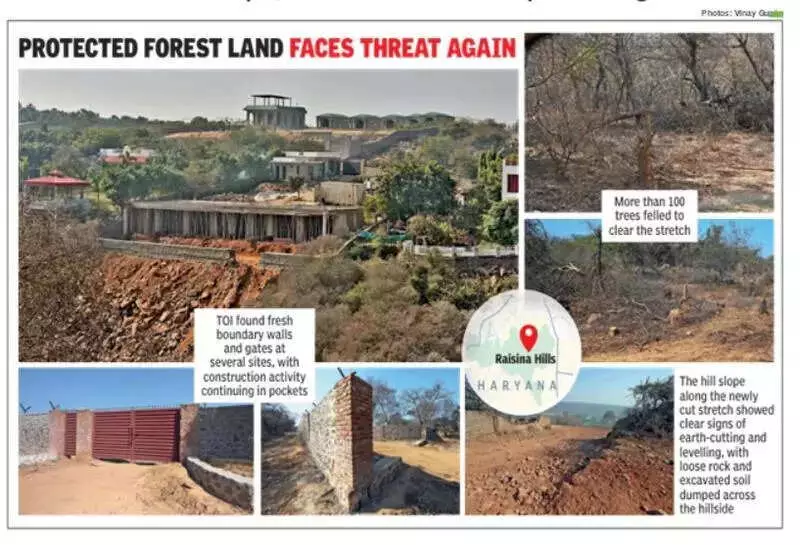 Fresh Road Carved Into Protected Aravali Hills, 100+ Trees Felled in Gurgaon
