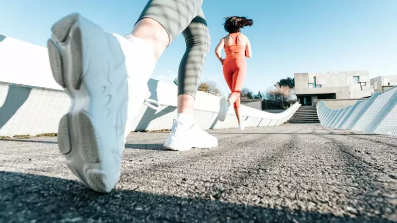 From Ancient Pastimes to Global Phenomena: The Fascinating Origins of 6 Popular Sports