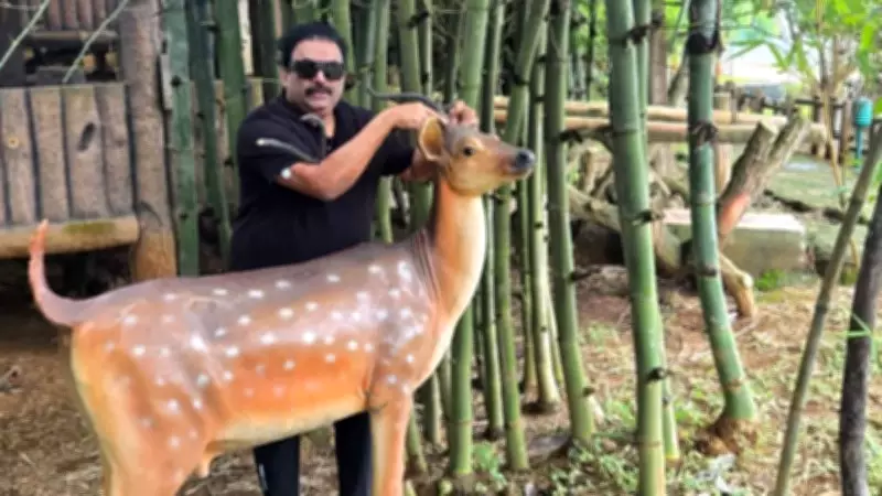 From Corporate Employee to Real Estate Tycoon: The Tragic End of CJ Roy During IT Raid