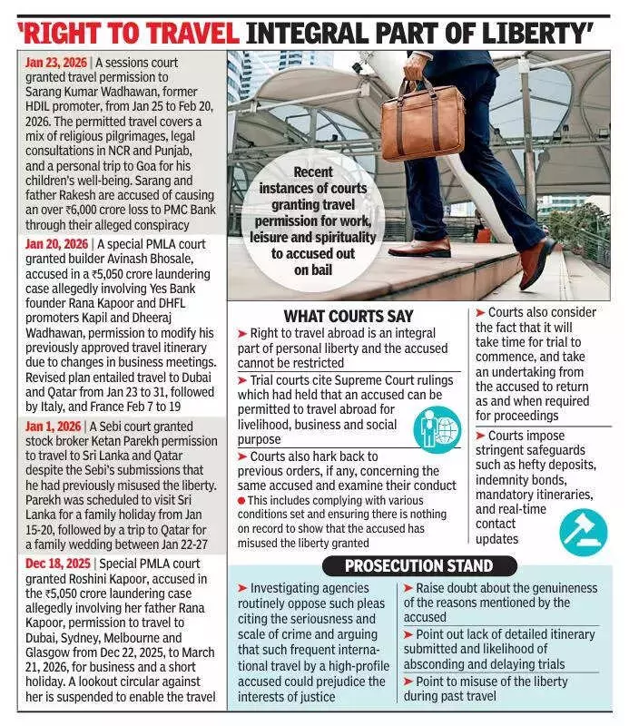 From Courtroom to Davos: How Financial Fraud Accused Secure International Travel Permissions