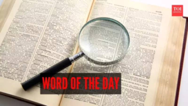 Funambulist: The Rare Word That Captures Life's Delicate Balance