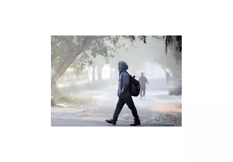 Gautam Buddh Nagar Schools Shift Timings to 10 AM-3 PM Amid Fog, Cold Wave