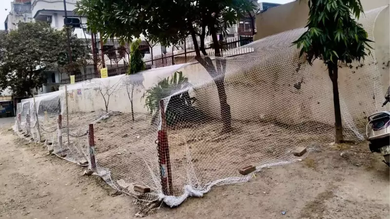 Ghaziabad Society Spends Rs 12,000 on Pigeon Nets Amid Health Crisis