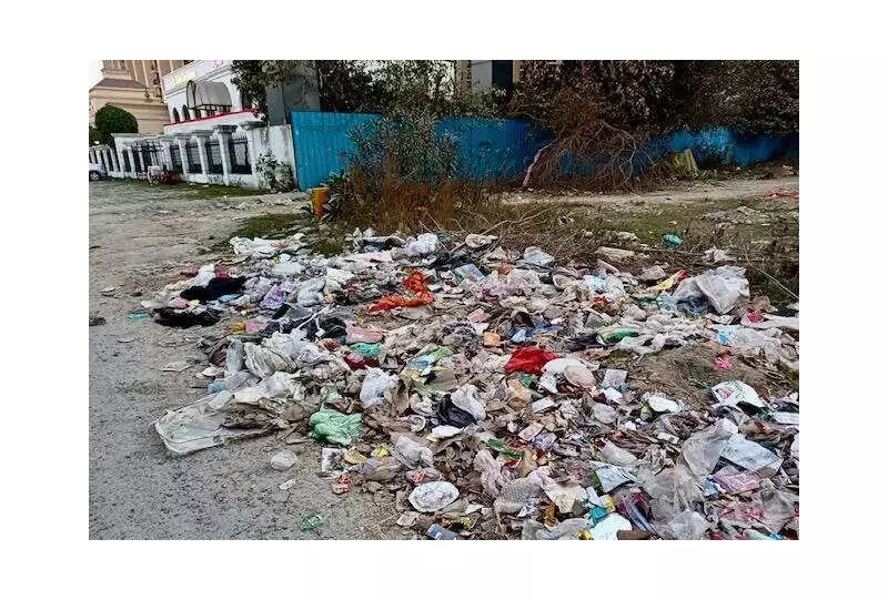 Ghaziabad's Siddharth Vihar Residents Protest Over Waste, Potholes & Pollution