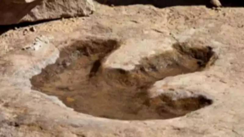 Giant Dinosaur Footprints Discovered in Australia: Adult Humans Could Fit Inside