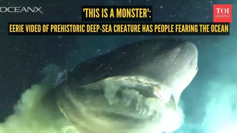 Giant 'Prehistoric' Shark Filmed in Deep Sea Sparks Fear & Awe Online