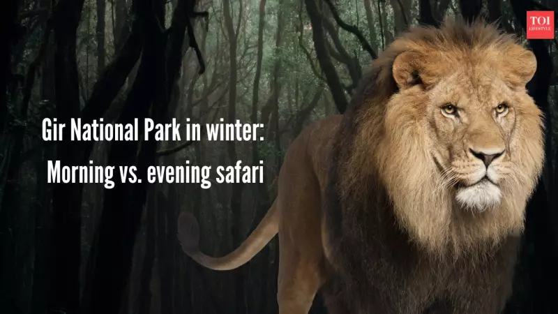Gir National Park's Winter Magic: Why This Season Transforms Your Safari Experience