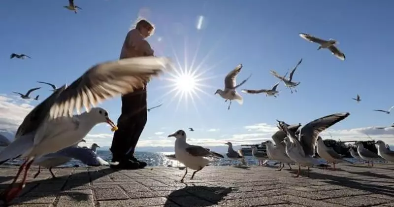 Global Glimpses: From Kyiv's Frost to Prayagraj's Faith in January 2026