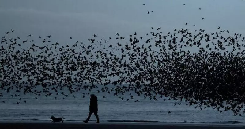 Global Photo Highlights: Golf in Hawaii to Ganga Aarti in Prayagraj