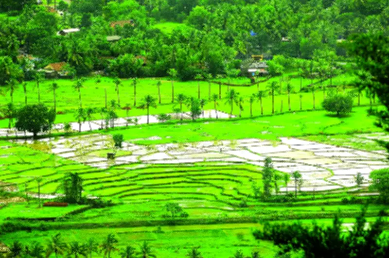 Goa Govt to Issue Conversion Sanads Online, Eliminating Physical Office Visits