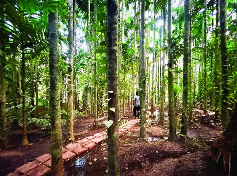 Goa TCP Withdraws Arambol Land Use Conversion for 3 Lakh Sqm